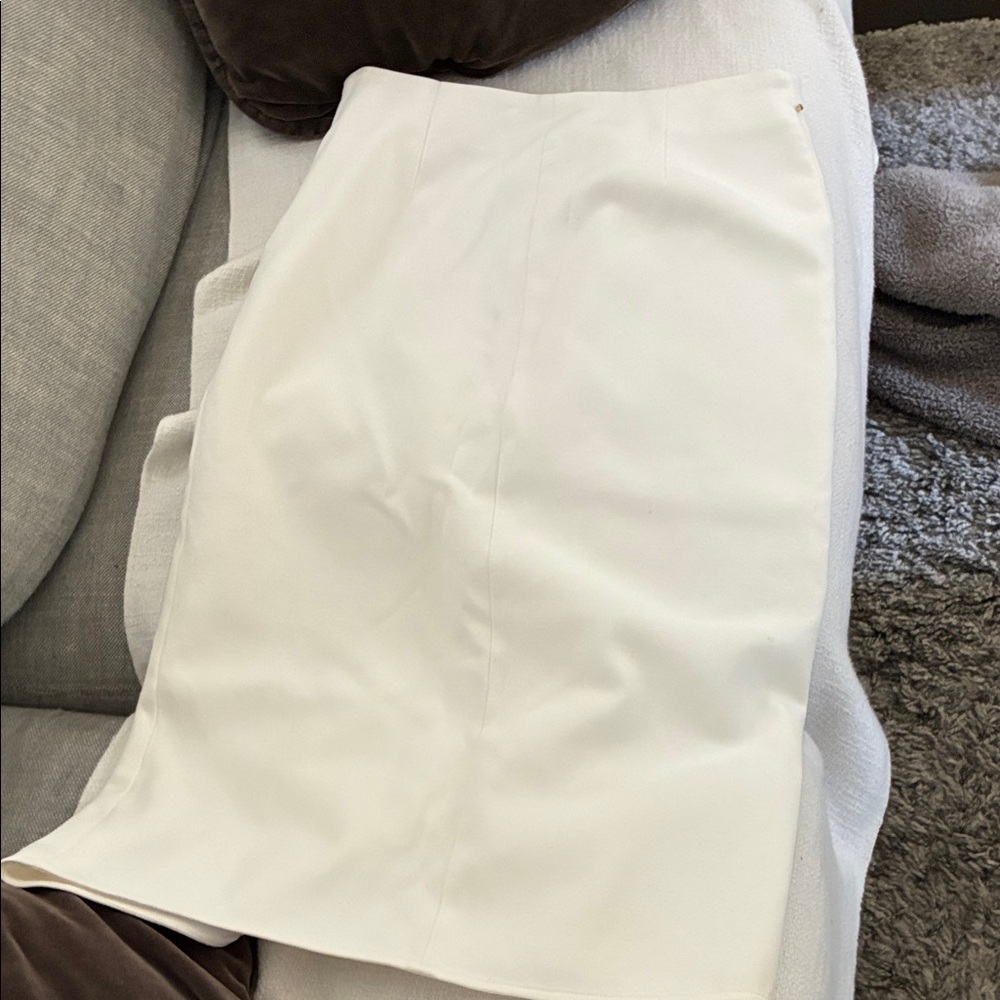 Cuyana Pencil Skirt - Picture 5 of 8